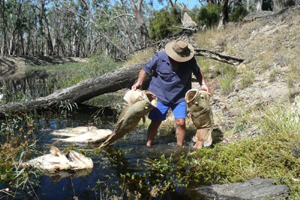 Senator Ron Boswell Pic: Jim Harnwell